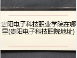 贵阳电子科技职业学院在哪里(贵阳电子科技职院地址)