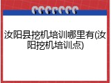 汝阳县挖机培训哪里有(汝阳挖机培训点)