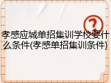 孝感应城单招集训学校要什么条件(孝感单招集训条件)