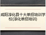 咸阳淳化县十大单招培训学校(淳化单招培训)