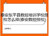 泰安东平县数控培训学校技校怎么样(泰安数控技校)