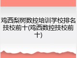 鸡西梨树数控培训学校排名技校前十(鸡西数控技校前十)