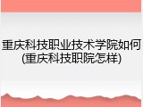 重庆科技职业技术学院如何(重庆科技职院怎样)
