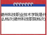 德州科技职业技术学院是什么档次(德州科技职院档次)
