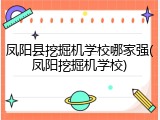 凤阳县挖掘机学校哪家强(凤阳挖掘机学校)