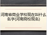 河南省商业学校现在叫什么名字(河南商校现名)