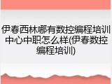 伊春西林哪有数控编程培训中心中职怎么样(伊春数控编程培训)