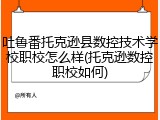 吐鲁番托克逊县数控技术学校职校怎么样(托克逊数控职校如何)