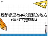 魏都哪里有学挖掘机的地方(魏都学挖掘机)