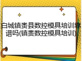 白城镇赉县数控模具培训靠谱吗(镇赉数控模具培训)