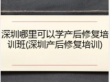深圳哪里可以学产后修复培训班(深圳产后修复培训)
