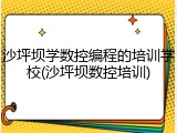 沙坪坝学数控编程的培训学校(沙坪坝数控培训)