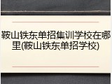 鞍山铁东单招集训学校在哪里(鞍山铁东单招学校)