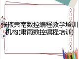 张掖肃南数控编程教学培训机构(肃南数控编程培训)