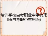 培训学校自考职业中学有用吗(自考职中有用吗)