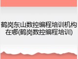 鹤岗东山数控编程培训机构在哪(鹤岗数控编程培训)