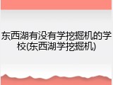 东西湖有没有学挖掘机的学校(东西湖学挖掘机)