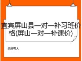 宜宾屏山县一对一补习班价格(屏山一对一补课价)