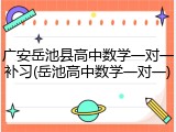 广安岳池县高中数学一对一补习(岳池高中数学一对一)