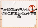 巴音郭楞轮台县农业中专学校哪里有(轮台农业中专在哪)