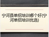 宁河县单招培训哪个好(宁河单招培训优选)
