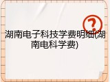 湖南电子科技学费明细(湖南电科学费)