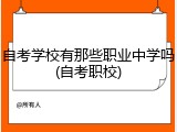 自考学校有那些职业中学吗(自考职校)