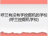 呼兰有没有学挖掘机的学校(呼兰挖掘机学校)