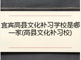 宜宾高县文化补习学校是哪一家(高县文化补习校)
