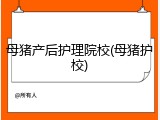 母猪产后护理院校(母猪护校)