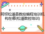 阿坝松潘县数控编程培训机构在哪(松潘数控培训)