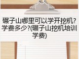 碾子山哪里可以学开挖机?学费多少?(碾子山挖机培训学费)