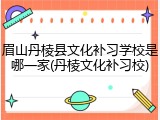眉山丹棱县文化补习学校是哪一家(丹棱文化补习校)