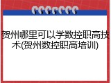 贺州哪里可以学数控职高技术(贺州数控职高培训)