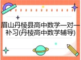 眉山丹棱县高中数学一对一补习(丹棱高中数学辅导)