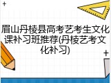 眉山丹棱县高考艺考生文化课补习班推荐(丹棱艺考文化补习)