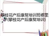 攀枝花产后康复培训班哪里学(攀枝花产后康复培训)