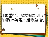 吐鲁番产后修复师培训学校在哪(吐鲁番产后修复培训)