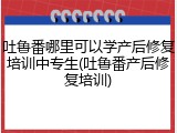 吐鲁番哪里可以学产后修复培训中专生(吐鲁番产后修复培训)