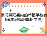 漯河舞阳县内的单招学校有吗(漯河舞阳单招学校)