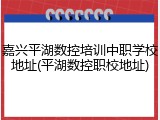 嘉兴平湖数控培训中职学校地址(平湖数控职校地址)