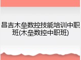 昌吉木垒数控技能培训中职班(木垒数控中职班)