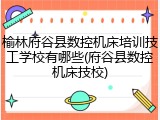 榆林府谷县数控机床培训技工学校有哪些(府谷县数控机床技校)