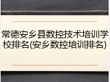 常德安乡县数控技术培训学校排名(安乡数控培训排名)