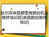 哈尔滨宾县哪里有数控机床维修培训班(宾县数控维修培训)