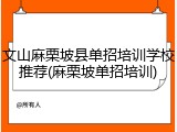 文山麻栗坡县单招培训学校推荐(麻栗坡单招培训)