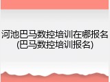 河池巴马数控培训在哪报名(巴马数控培训报名)