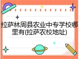 拉萨林周县农业中专学校哪里有(拉萨农校地址)