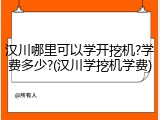 汉川哪里可以学开挖机?学费多少?(汉川学挖机学费)