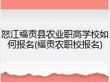 怒江福贡县农业职高学校如何报名(福贡农职校报名)